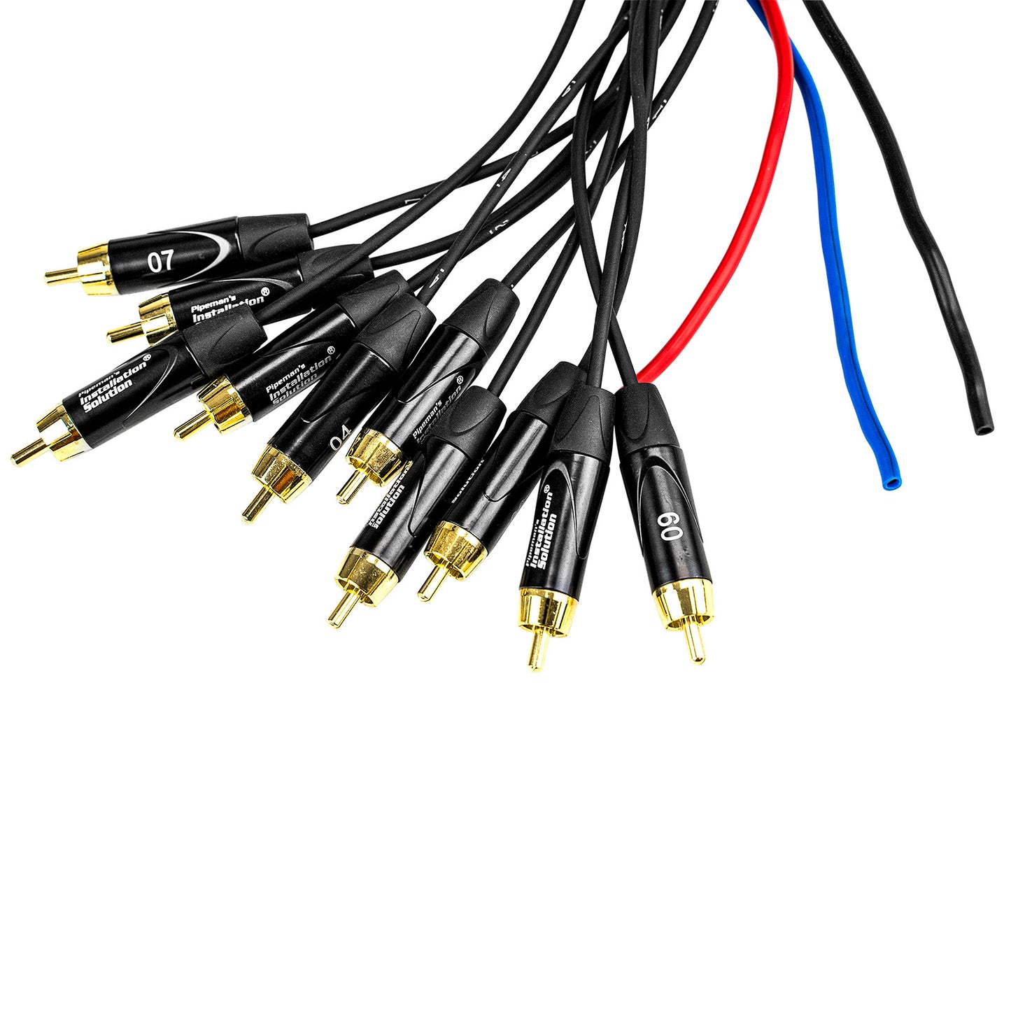 30’ Multi-Pair Cable (IS-SNK30-10RCA)